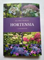 Blomstrende Hortensia i Danmark